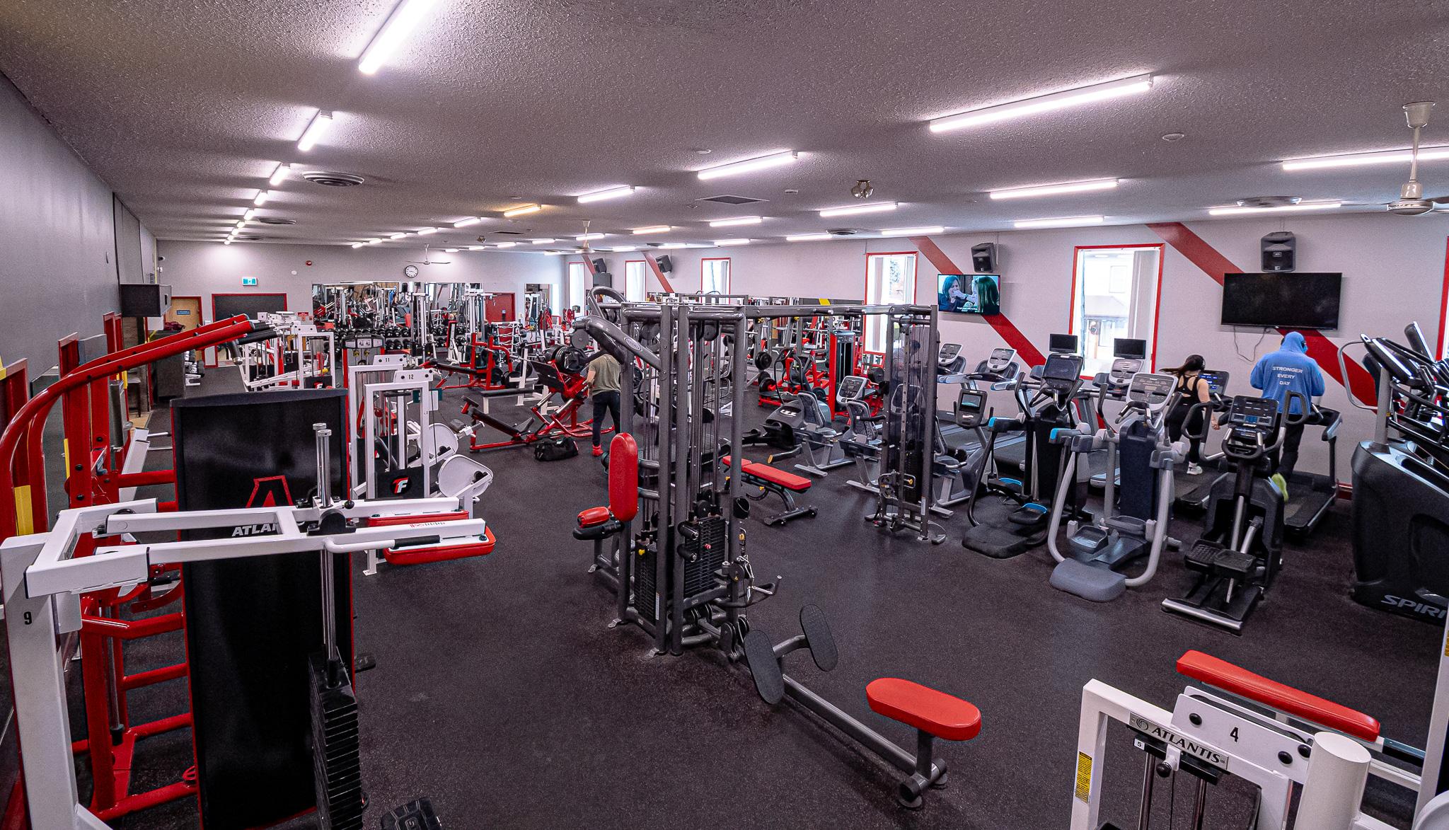 Cardio treadmills and ellipticals by the window