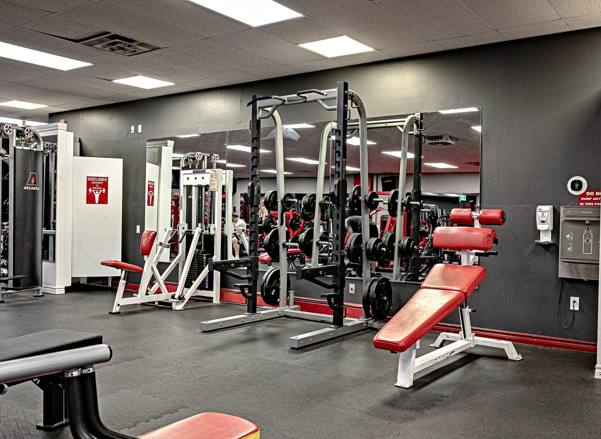 Free weight and power rack area