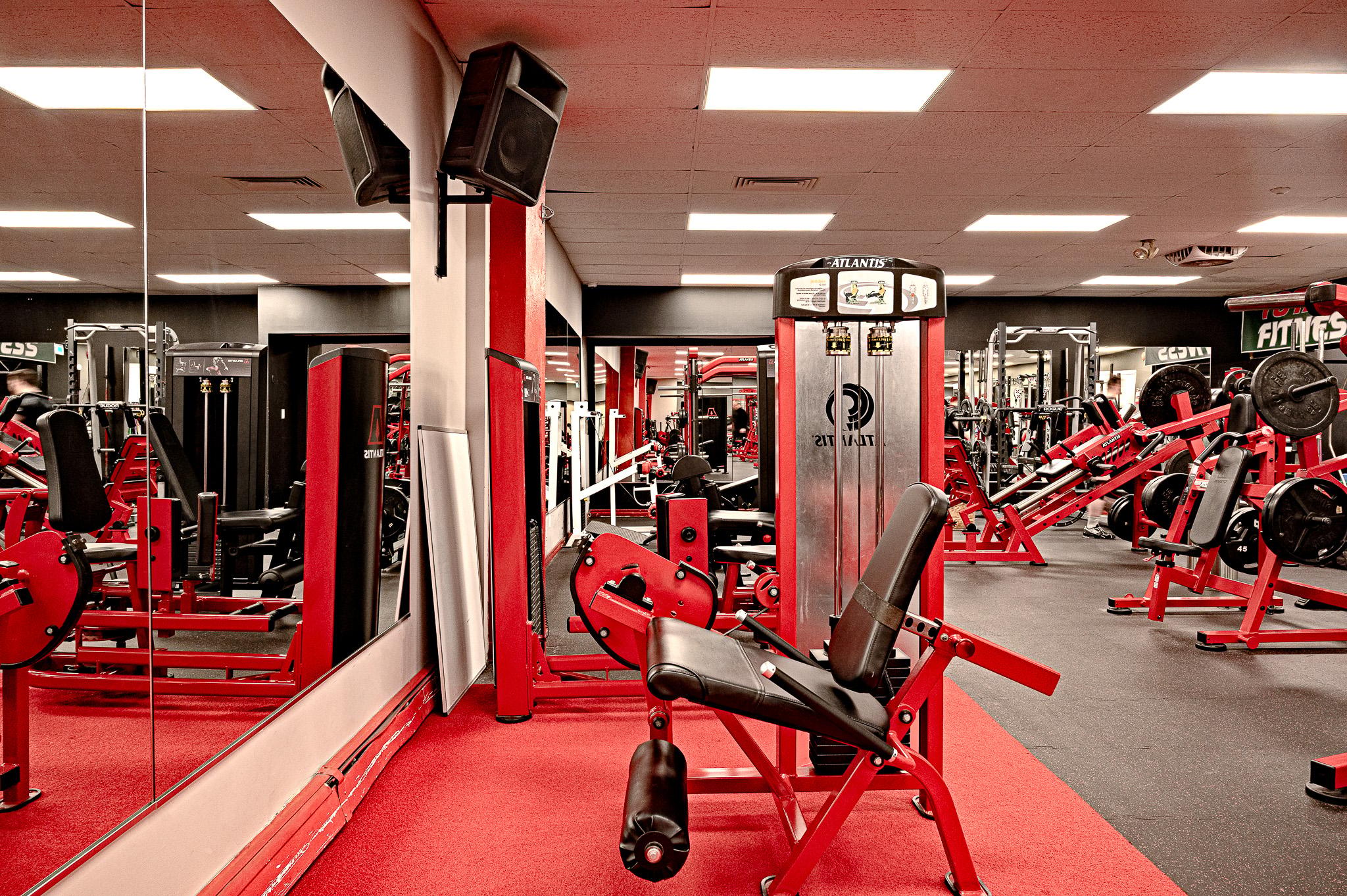 Leg extension and bench area