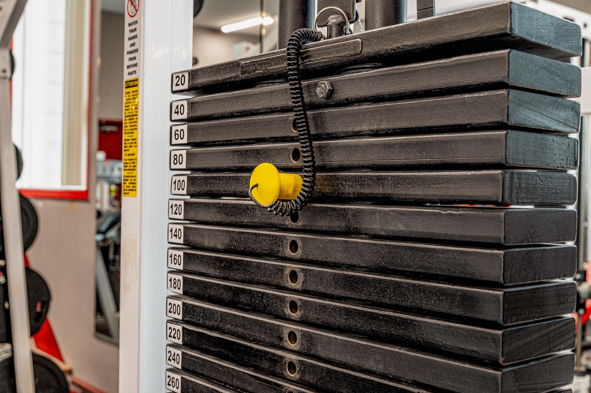 Weight stack selector detail